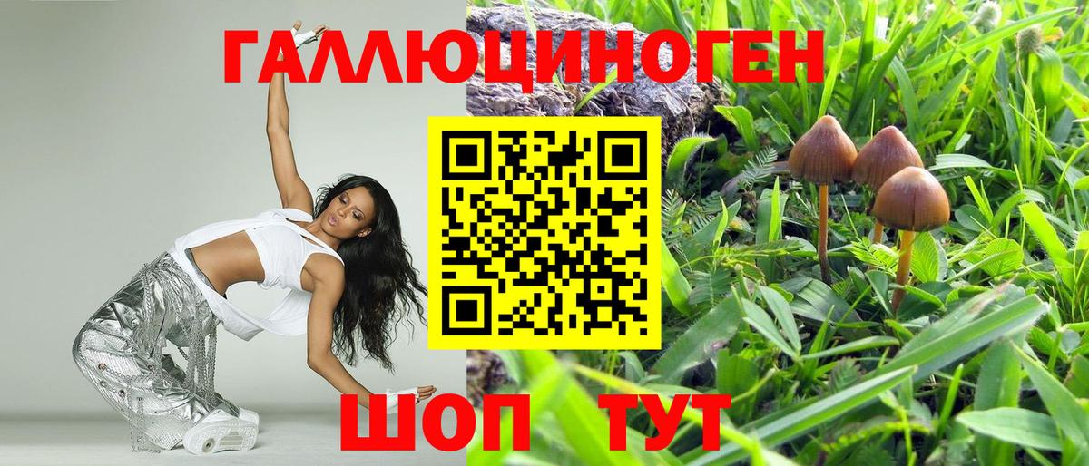Галлюциногенные грибы GOLDEN TEACHER  Вход с VPN  Свободный 
