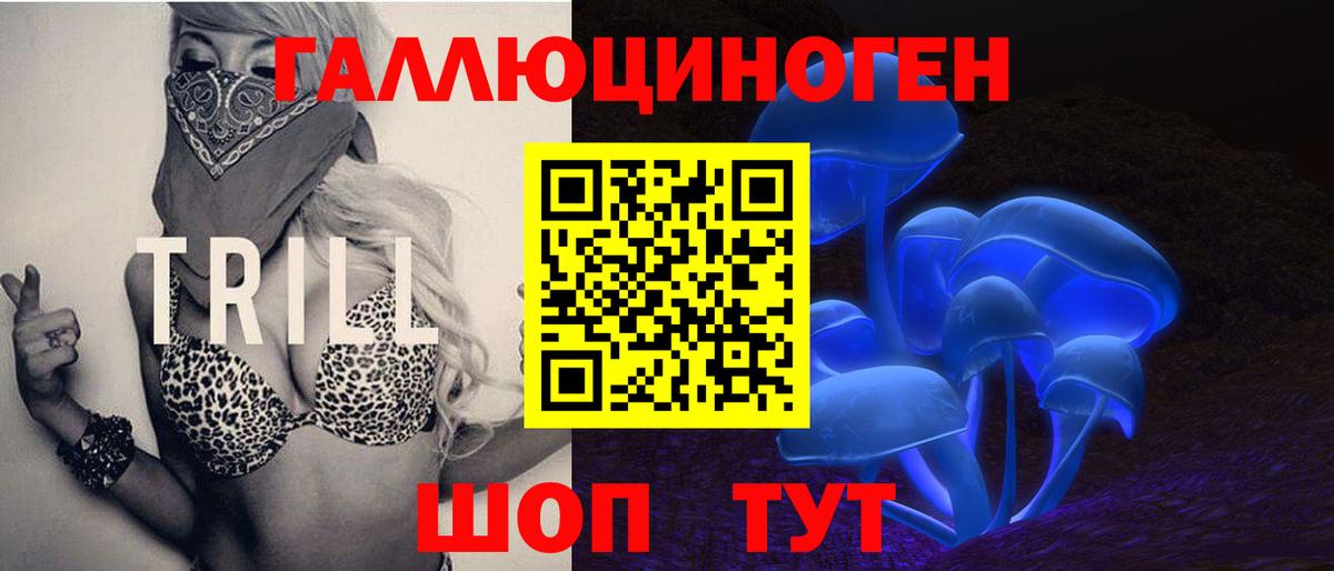 Псилоцибиновые грибы Psilocybine cubensis Свободный